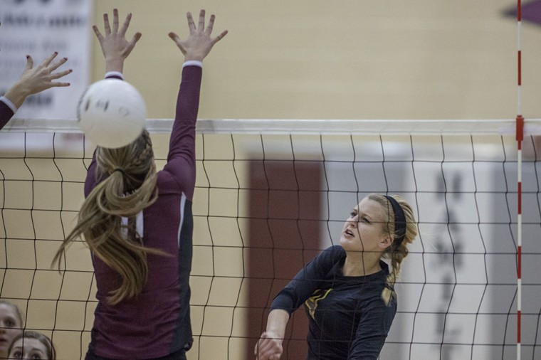 Volleyball: MP vs Hamilton